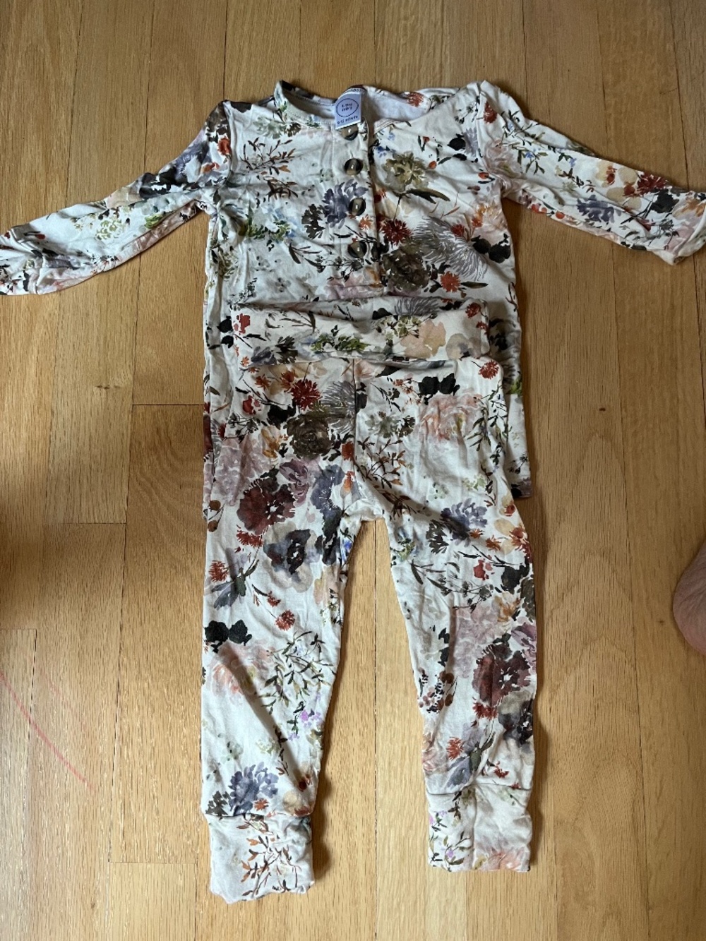Lou Lou and Company 2 piece set in floral print of earth tones size 6-12 months